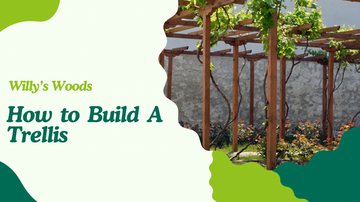 How to Build a Garden Trellis with Expert Woodworking Tips